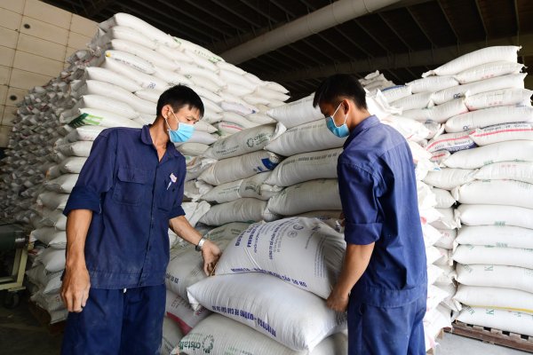 Chính sách xuất khẩu gạo Việt 